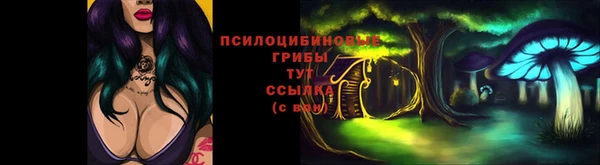 хмурый Тихвин